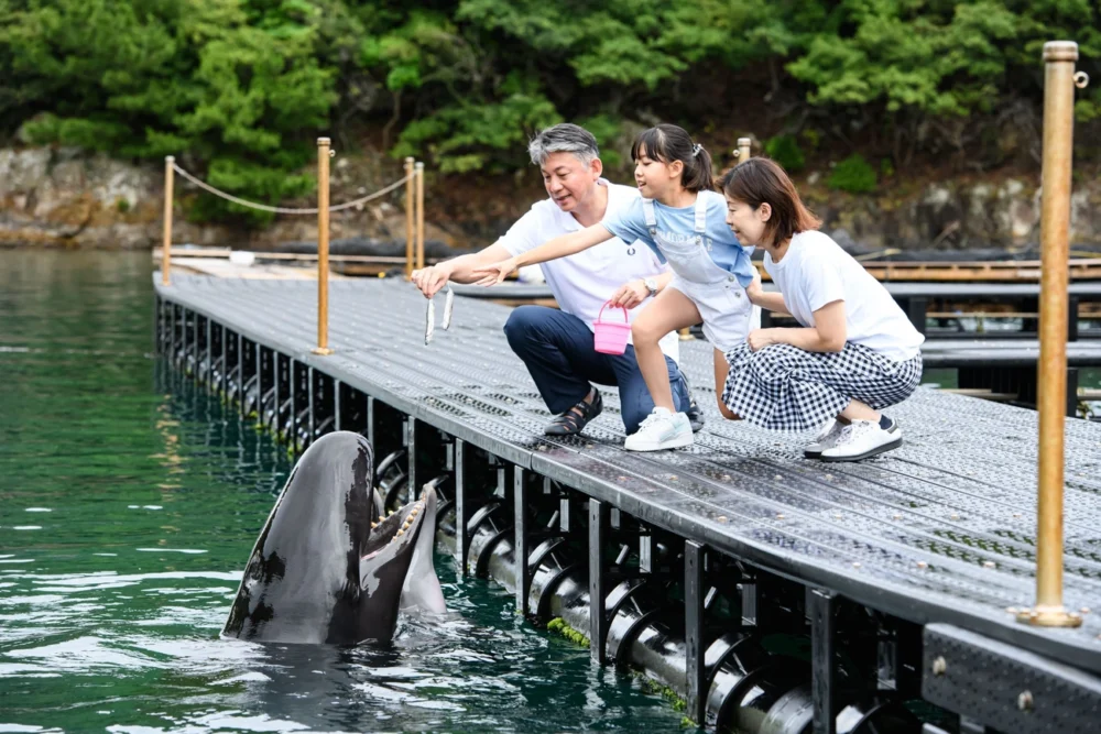 Taiji Municipal Whale Museum| Mercure Wakayama Kushimoto Resort & Spa