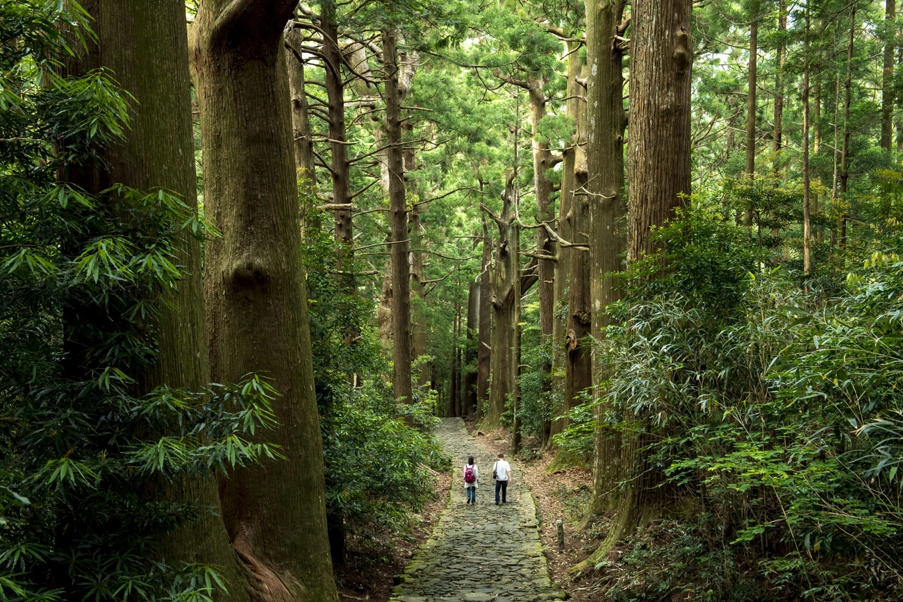 Mercure Wakayama Kushimoto Resort & Spa  | Dai-Kadosaka