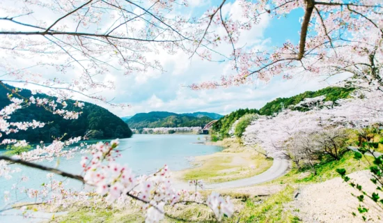 フォトギャラリー｜メルキュール京都宮津リゾート＆スパ