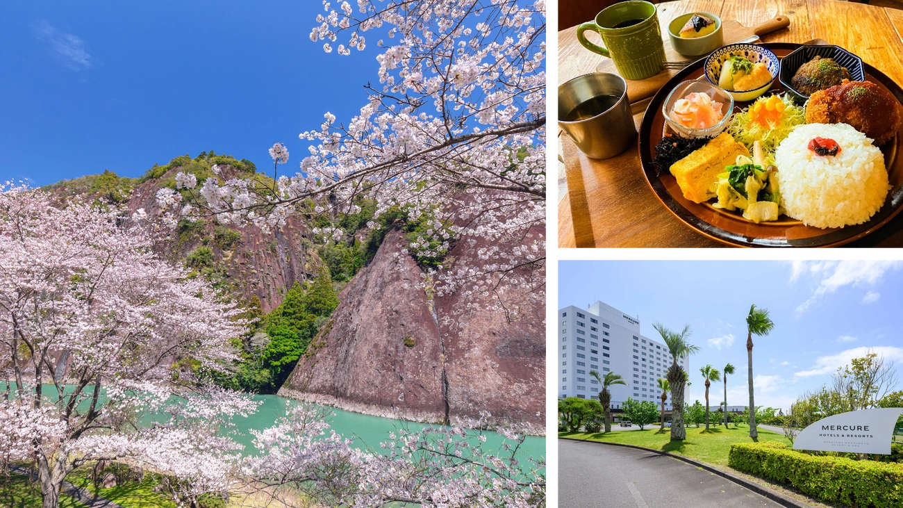 ～古座川を彩る桜と、地元が誇る食文化を一度に楽しむ～