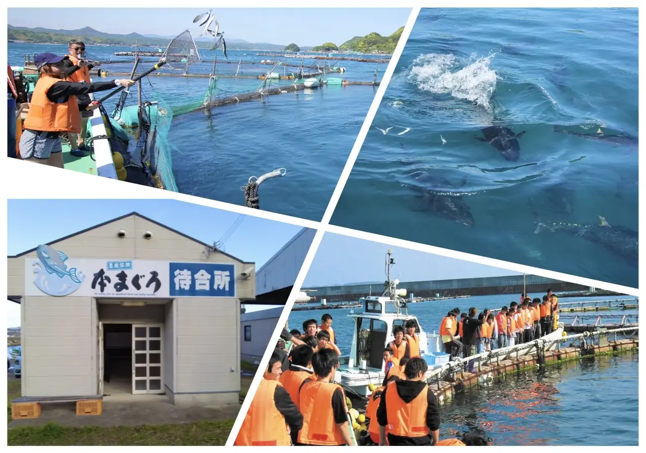 Golden Week limited plan to experience the richness of the sea of Kushimoto